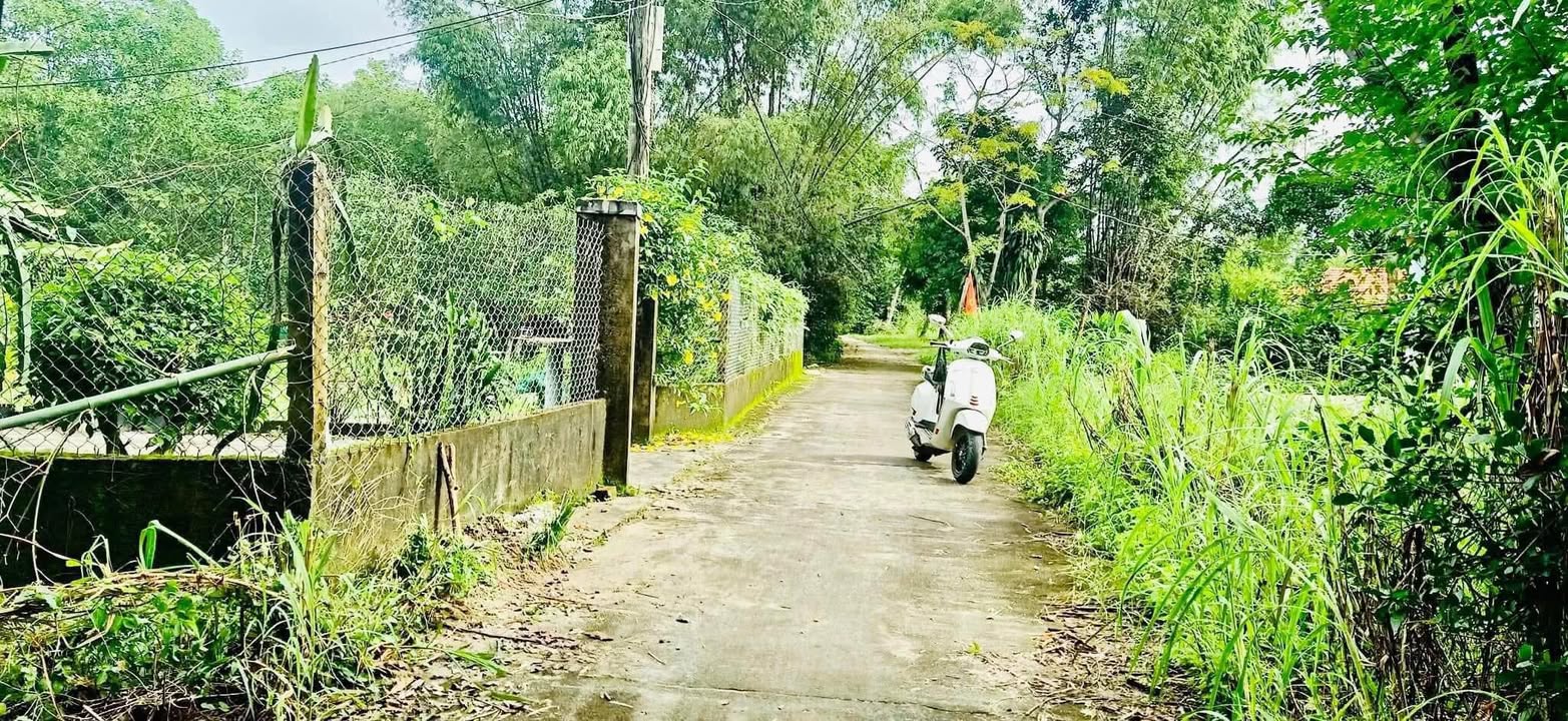 Đất nền Xã Bình Quý 150m² giá 300 triệu - Đầu tư sinh lời ngay!