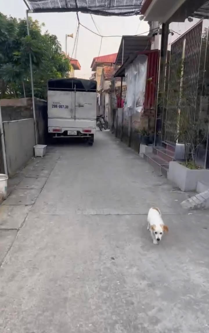 Đất nền Tân Minh Thường Tín 44m² giá chỉ 2 tỷ - Vị trí vàng gần sân vận động