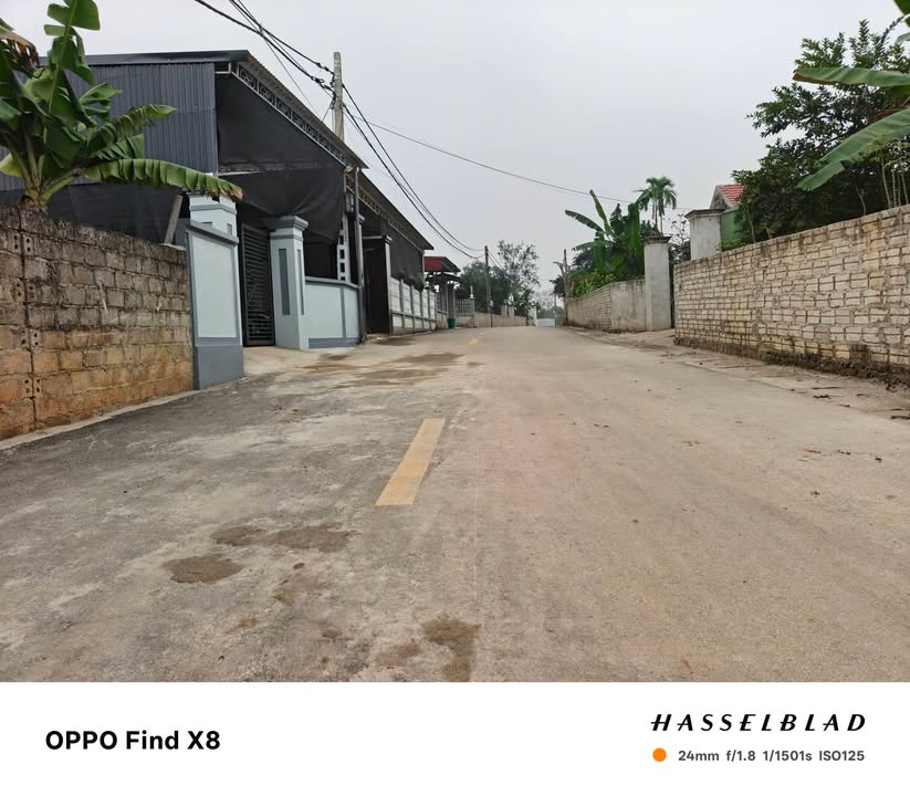 Đất nền Minh Sơn, Triệu Sơn 100m² giá 600 triệu - Cơ hội đầu tư lý tưởng!