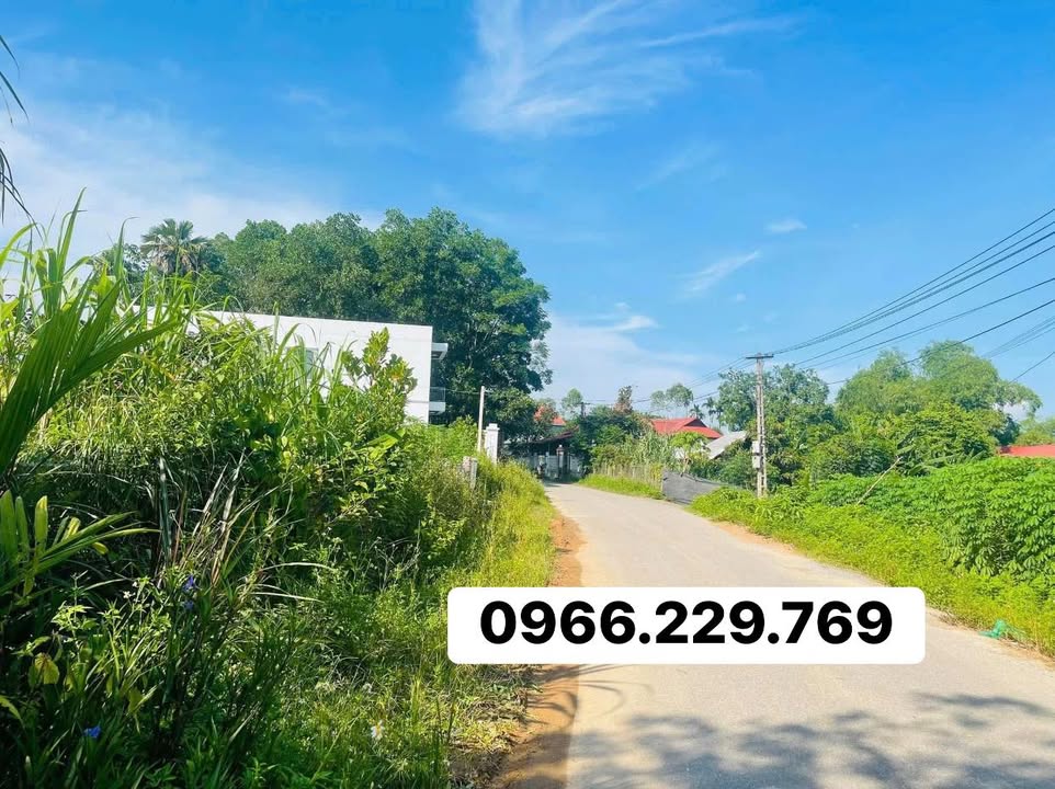 Đất mặt đường Ngô Xá, Tiên Lương 355m² giá 900 triệu - Đầu tư sinh lời!