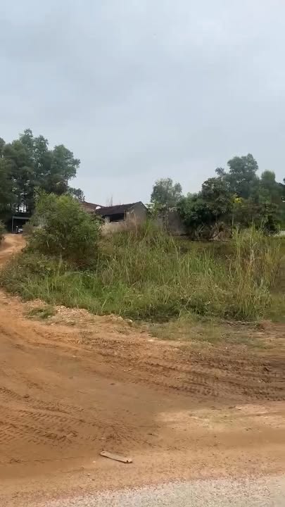 Đất nền xã Tân Mộc, huyện Lục Ngạn 187m² giá 1 tỷ - Phong thủy tốt cho an cư!