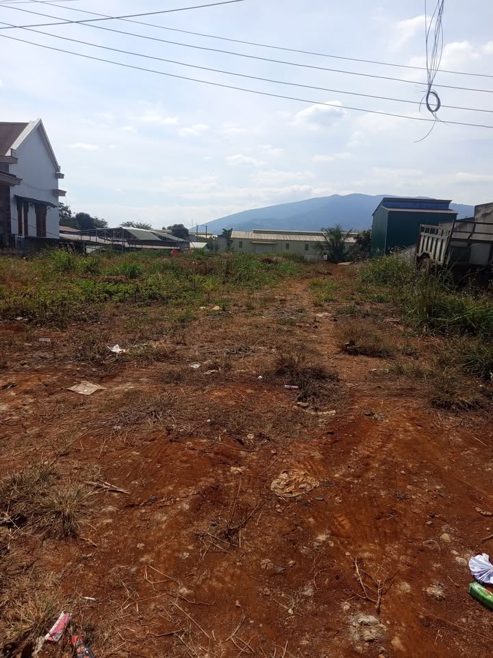 Đất mặt tiền Quốc lộ 20, Xã Gia Hiệp, 2000m² giá 18 tỷ - Sổ hồng chính chủ!