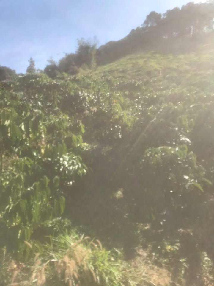 Đất vườn Xã Lạc Sơn 5.5 xào giá 600 triệu - Tiềm năng đầu tư cao!