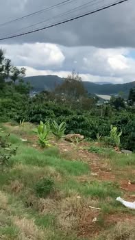 Đất nền mặt đường Chi Lăng Nam Ban 185m² giá 1.6 tỷ - Đầu tư lý tưởng!