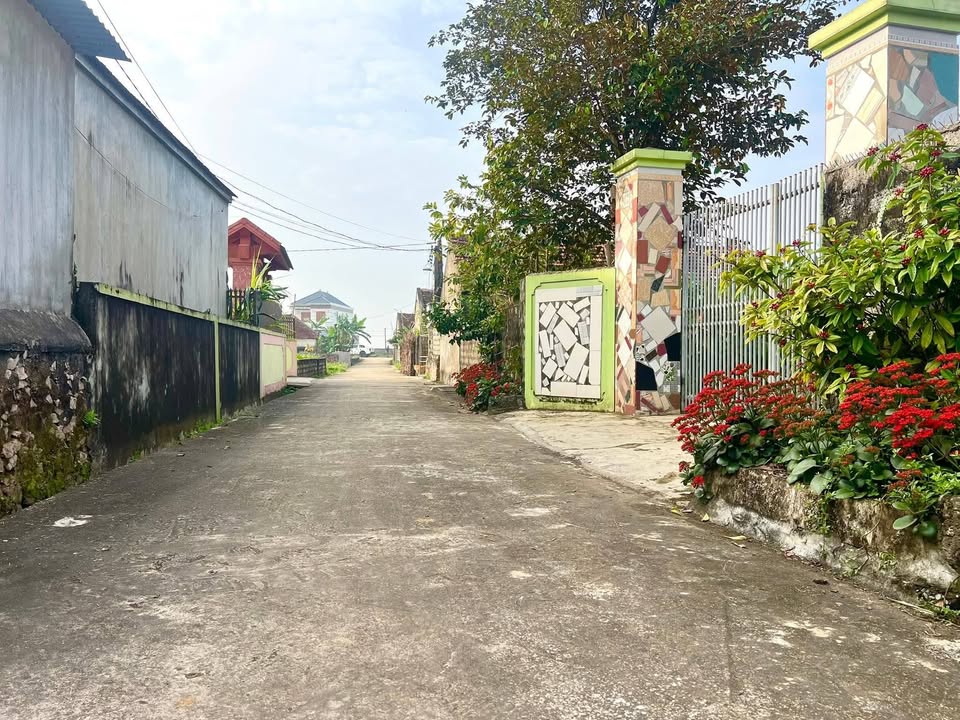 Đất nền xã Bắc Thành, 180m² chỉ 800 triệu - Cơ hội đầu tư tuyệt vời!