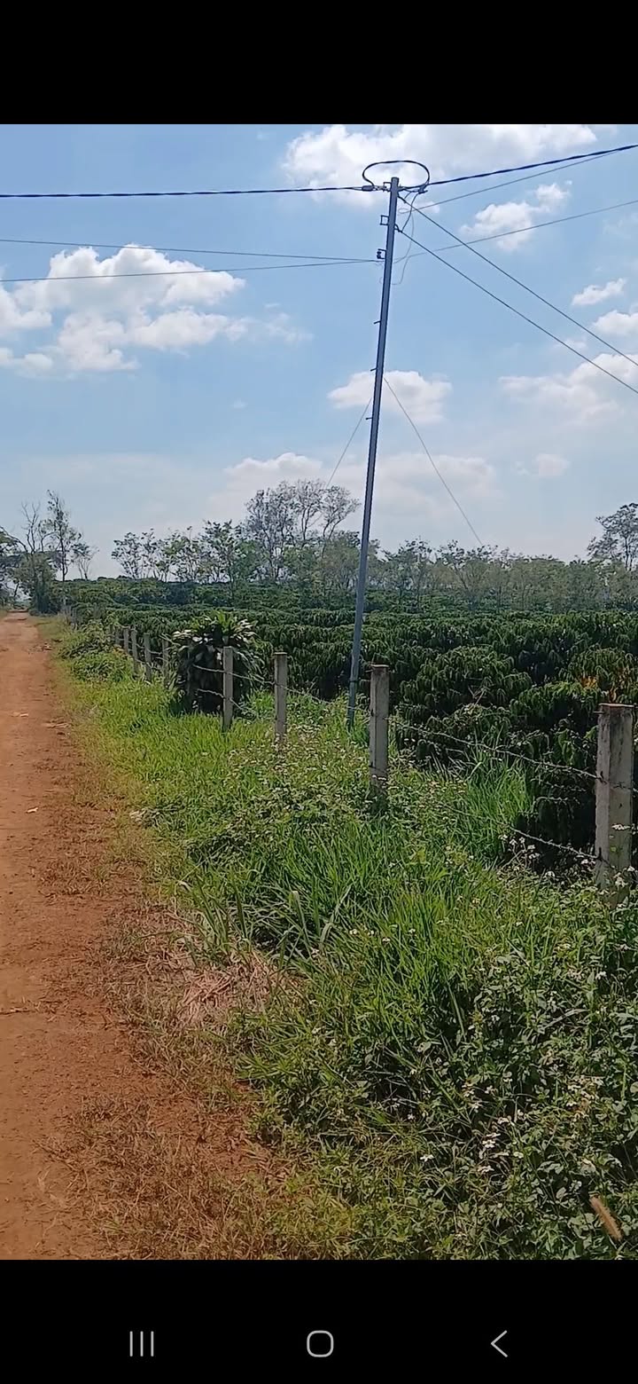 Đất nền Bảo Lộc 16.000m² giá 6 tỷ - Đầu tư sinh lời hấp dẫn!