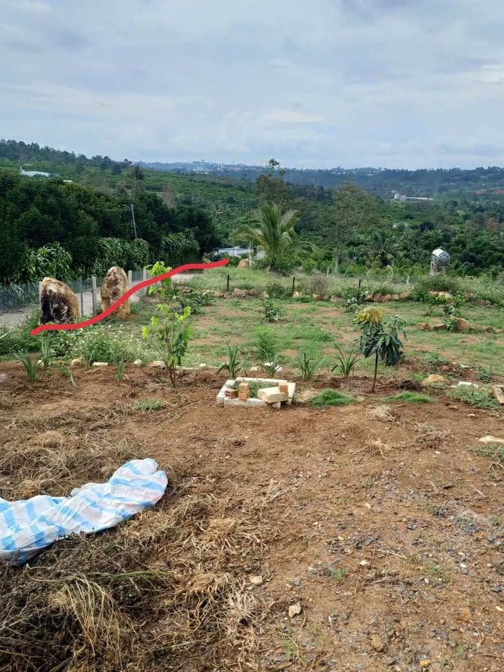 Đất nền Phường Lộc Sơn, Bảo Lộc 500m² giá 850 triệu - Đường bê tông đến tận nơi!