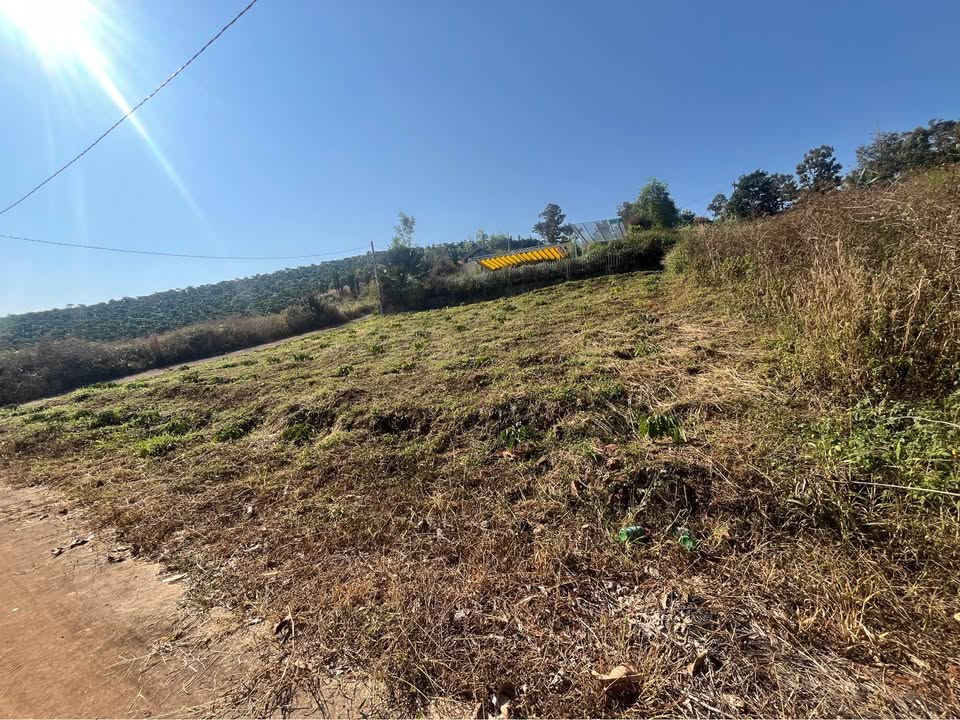 Đất nền góc 504m² Hẻm Lý Thường Kiệt - Giá 1.2 tỷ - Sổ đỏ chính chủ!