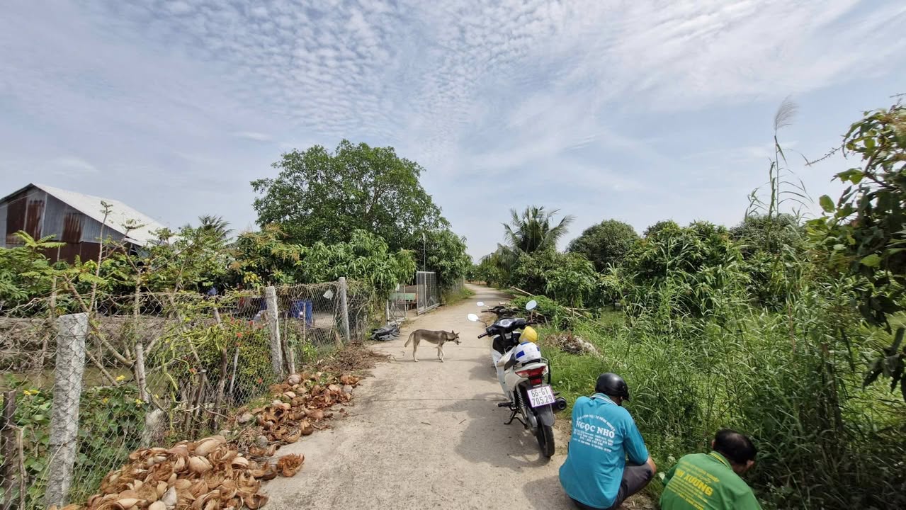 Đất vườn 2 công tại Vĩnh Xương, Tân Châu - Giá chỉ 600 triệu