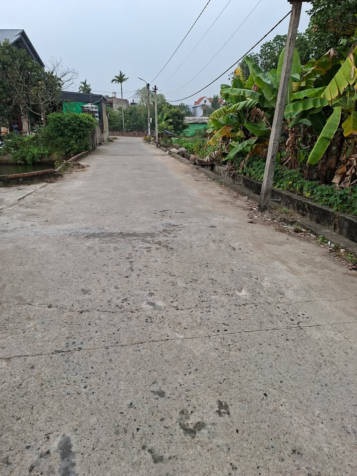 Đất nền Hưng Đạo, Tứ Kỳ 160m² giá 1.1 tỷ - Đất vuông vức, ô tô vào tận nơi!