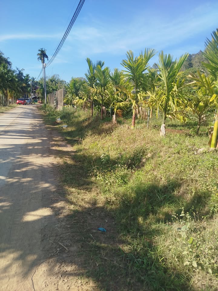 Đất thổ cư 360m² tại Đắk Liêng giá 600 triệu - Sổ hồng trao tay!