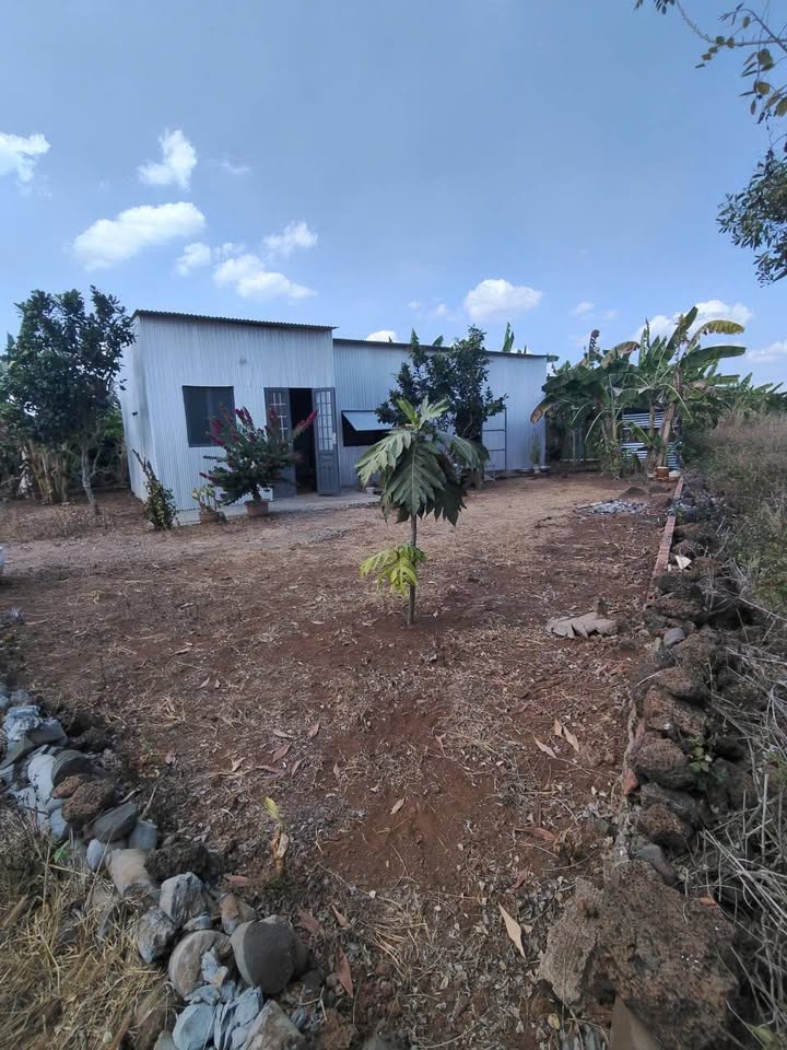 Đất nền xã Tây Hòa, Trảng Bom 324m² giá 399 triệu - Sổ đỏ chính chủ!