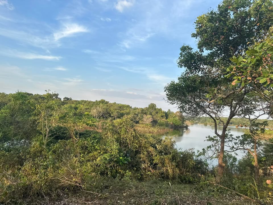 Đất nền 20.000m² tại xã Đức Liễu, huyện Bù Đăng - Giá chỉ 1.35 tỷ!