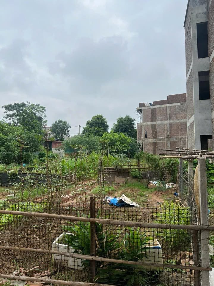 Đất nền KĐT Việt Séc Vĩnh Phúc 252,5m² giá chỉ 52 triệu/m² - Cơ hội vàng cho đầu tư!