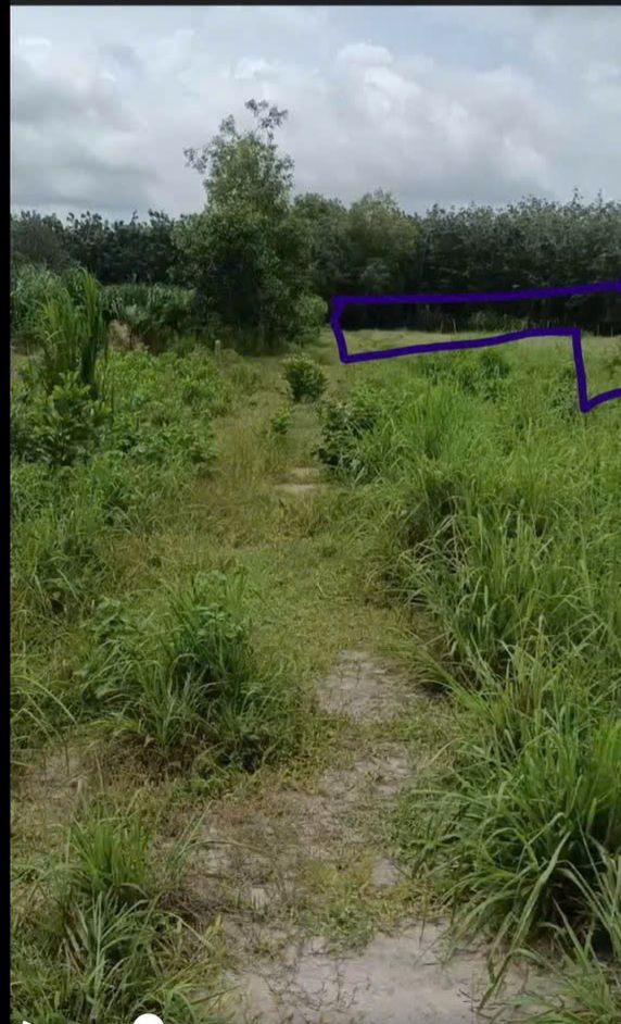 Đất nở hậu xã Trường Hòa 30.000m² giá 850 triệu - Cơ hội đầu tư hấp dẫn!