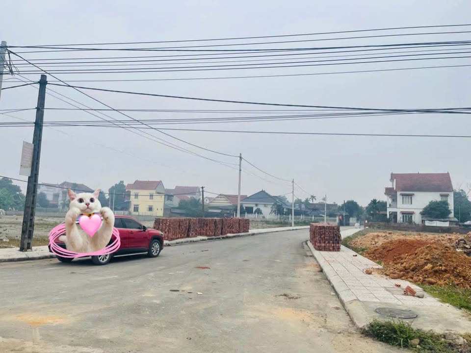 Đất nền Phùng Nguyên Lâm Thao 160m² giá 1.4 tỷ - Sổ hồng chính chủ