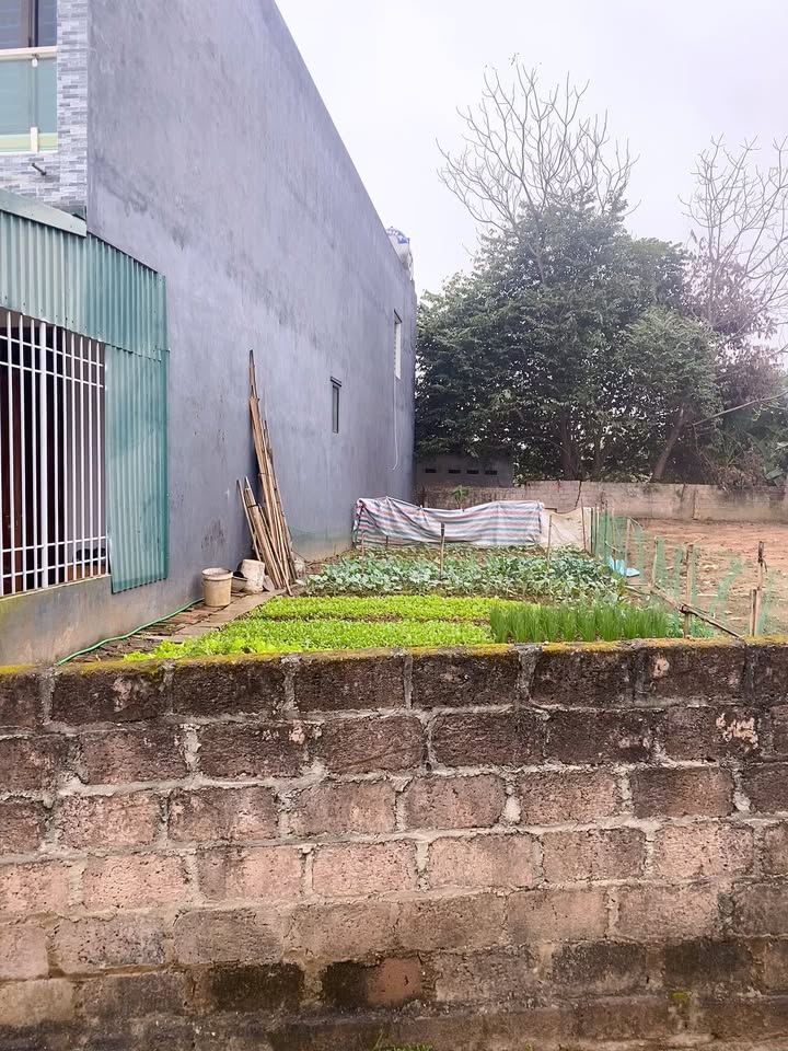 Đất nền Khu 5, Vân Phú 127m² giá chỉ 2 tỷ - Cơ hội đầu tư hấp dẫn!