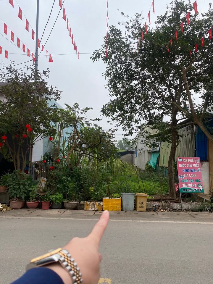 Đất nền trung tâm Nghĩa Đàn 124m² giá 3 tỷ - Đầu tư sinh lời ngay!