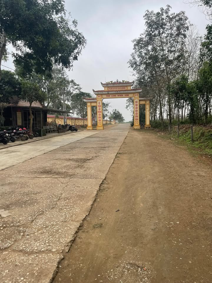 Đất mặt đường Liên xã Nghĩa Đức 240m² giá thỏa thuận - Vị trí đắc địa cho kinh doanh!