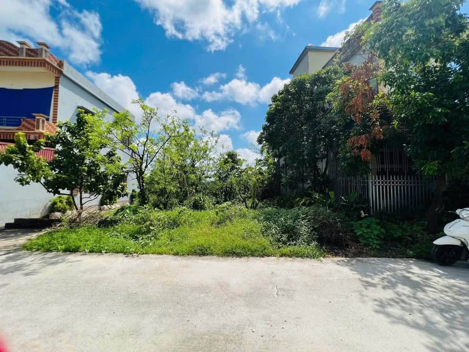 Đất thổ cư Thái Cao, Nam Bình, Kiến Xương 180m² - Pháp lý rõ ràng, giá thỏa thuận!