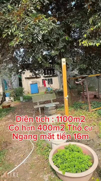 Đất vườn đẹp Phường Tân Hòa 1100m² - Cơ hội đầu tư hiếm có!
