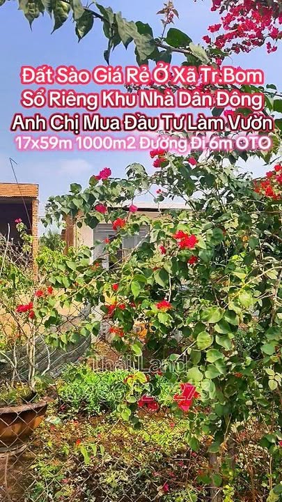 Đất nền Trảng Bom 1000m² giá 690 triệu - Đầu tư sinh lời ngay!