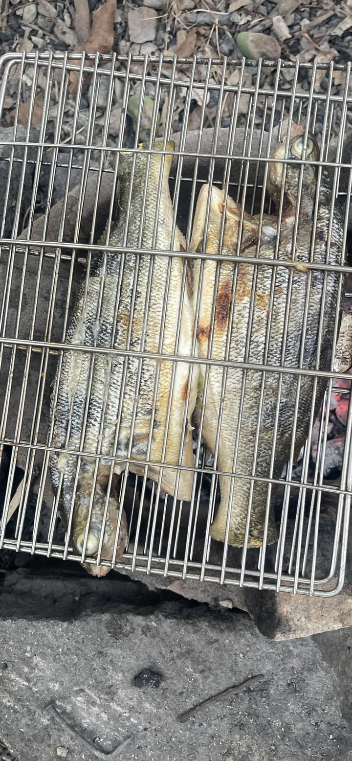 Đất Nông Nghiệp 4 Hecta Mặt Tiền 600A, Nam Cát Tiên - Giá 10 Tỷ VND, Pháp Lý Rõ Ràng