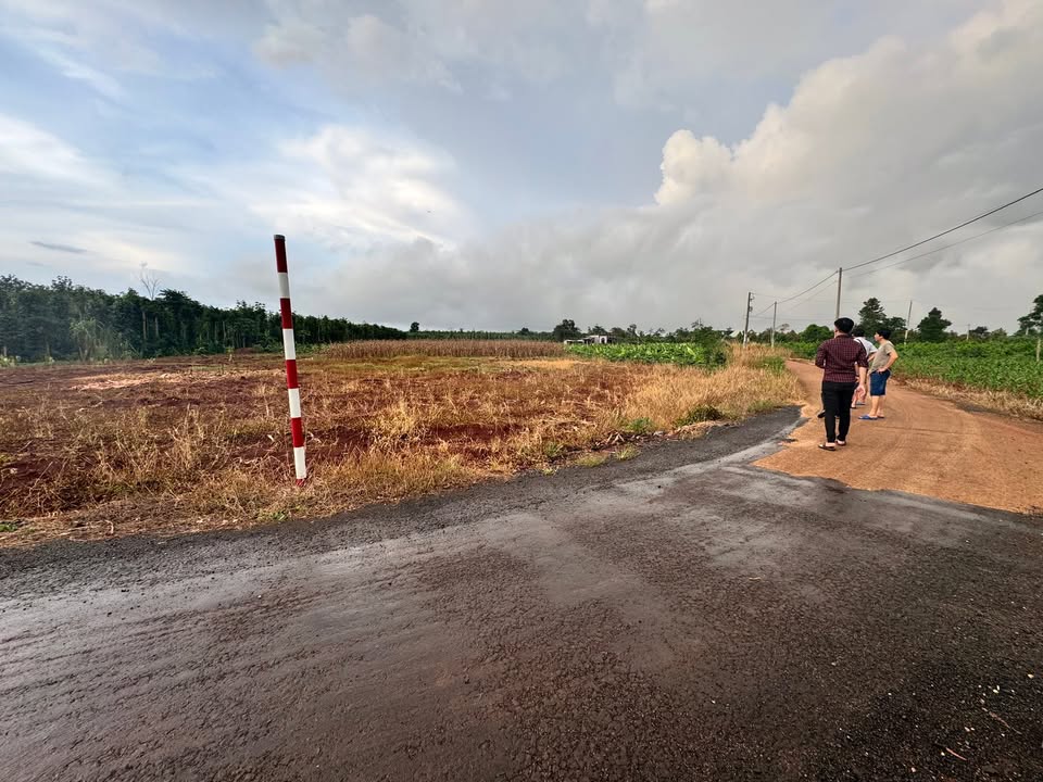 Đất nền 3117m² xã Hòa Hiệp, Xuyên Mộc giá chỉ 2.6 tỷ - Đầu tư sinh lời!