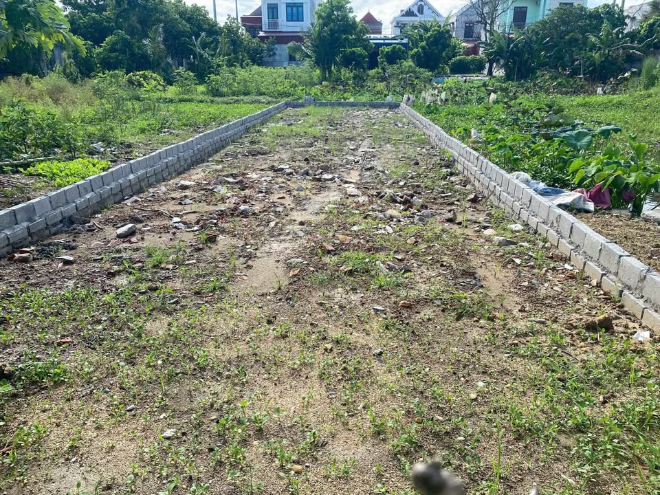 Đất nền Kiến Thụy Hải Phòng 97,75m² giá 2,1 tỷ - Cơ hội đầu tư tuyệt vời!