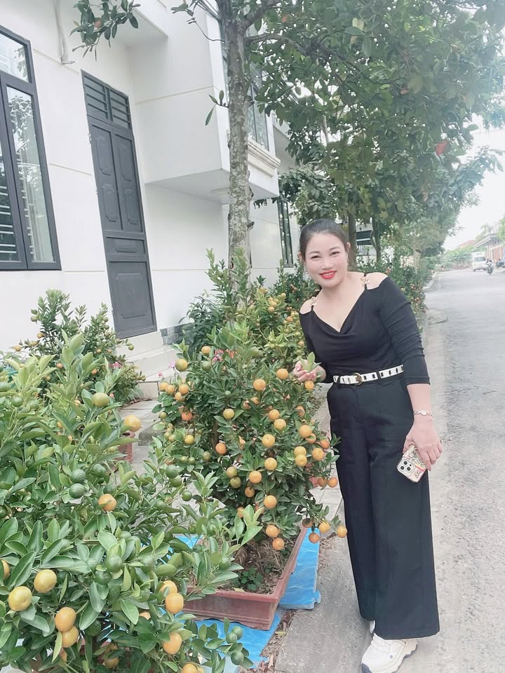 Đất nền Tiên Lãng, Hải Phòng 108m² giá 800 triệu - Cơ hội đầu tư hấp dẫn!