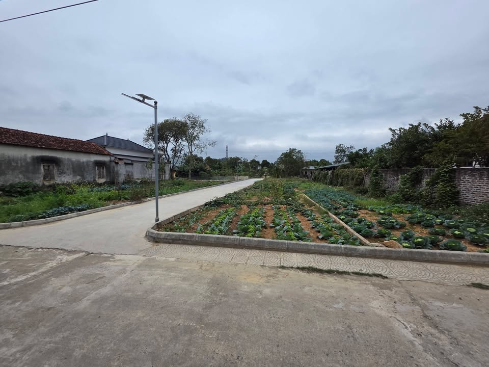 Đất nền lô góc 82m² tại Thôn Cơ Khí, Bình Xuyên - Cơ hội đầu tư sinh lời cao!