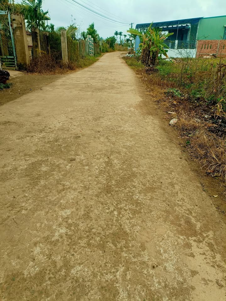 Đất nền Thị trấn Phước An 400m² giá 1 tỷ - Đầu tư sinh lời hấp dẫn!