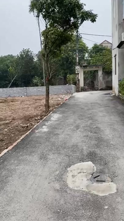 Đất nền góc 2 mặt tiền Phường Phố Hiến, 66.5m², giá 3 tỷ - Đầu tư sinh lời ngay!