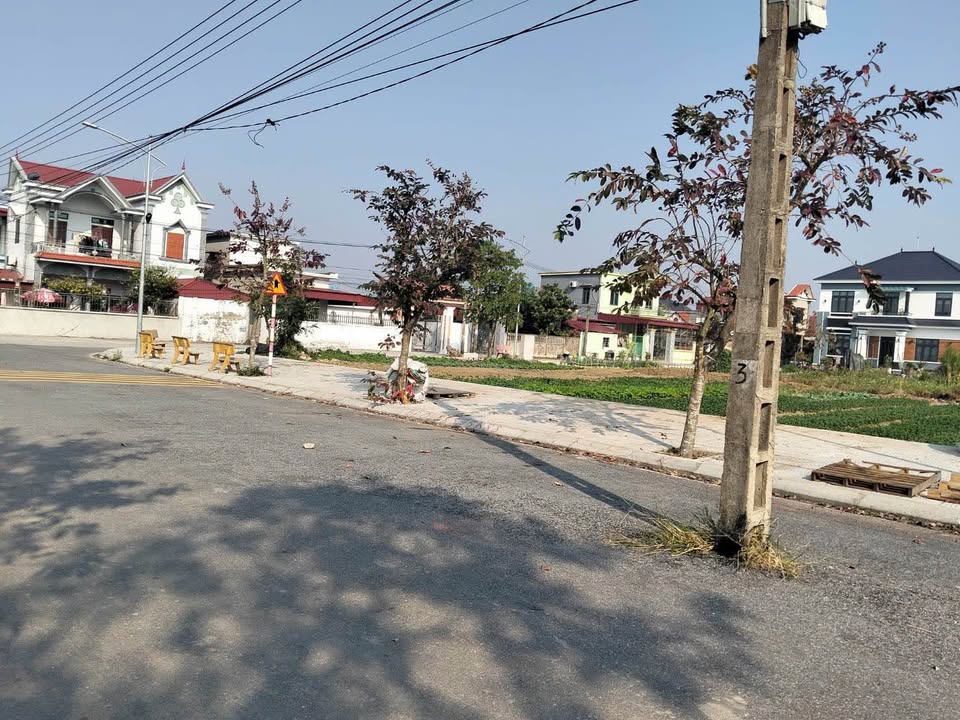 Đất đấu giá Thụy Dân Thái Thụy 115m² giá 1,3 tỷ - Sổ đỏ ngay!