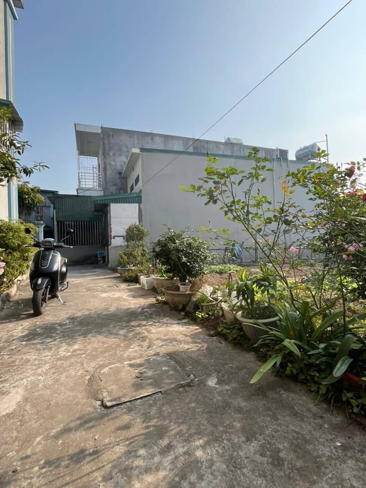 Đất thổ cư Vũ Phúc, Thái Bình 56m² giá 1 tỷ - Sổ đỏ chính chủ, khu dân cư an ninh!