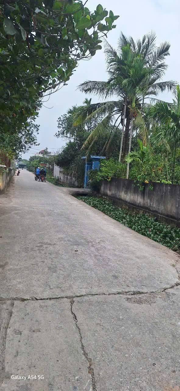 Đất nền xã Hồng An - Hưng Hà - Thái Bình 310m² giá 1 tỷ - Cơ hội đầu tư hấp dẫn!