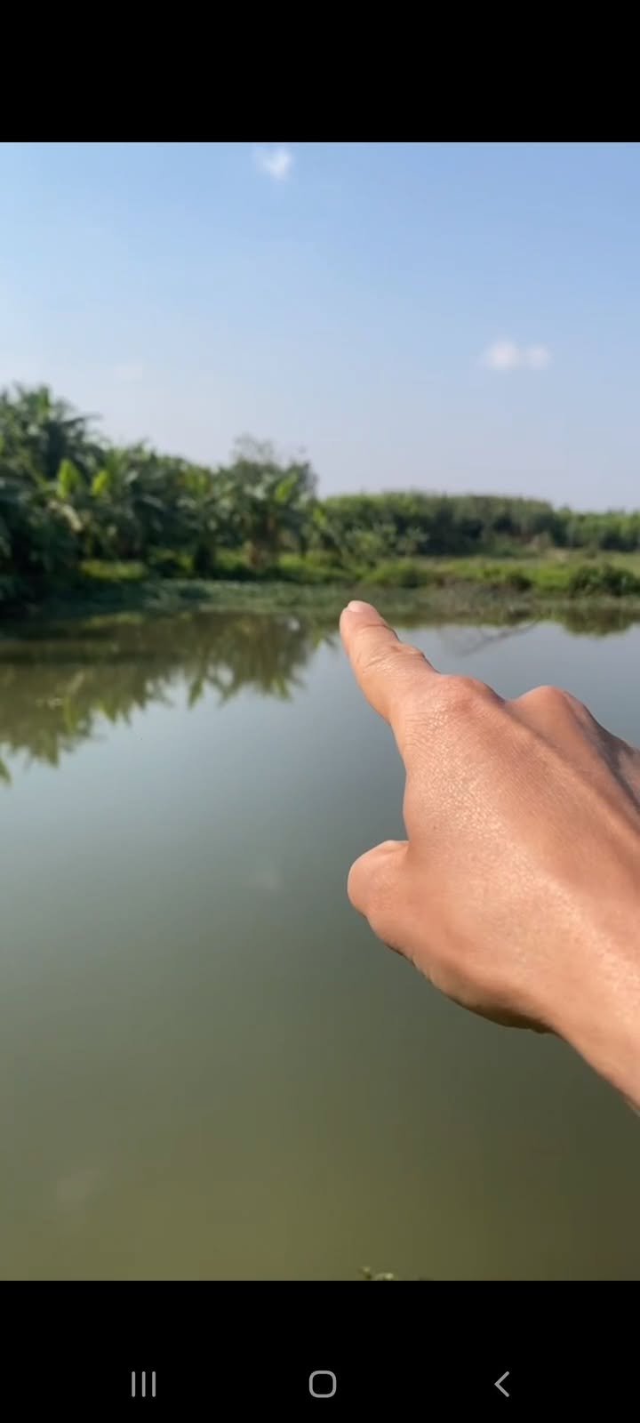 Đất nông nghiệp 2744m² tại Đường áp Phan, Hạ Long - Cơ hội đầu tư hấp dẫn!