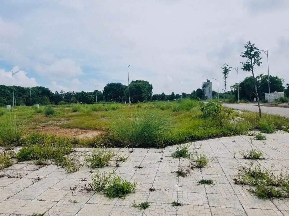 Đất nền Đại đô thị Đông Sơn 277m² giá 5.2 tỷ - Cơ hội đầu tư hấp dẫn!