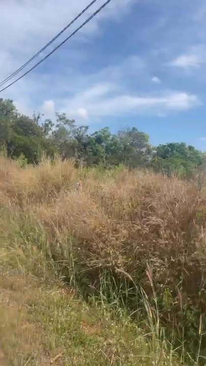 Đất nền 4000m² xã Suối Cao, Đồng Nai - Giá chỉ 500 triệu cho 1000m²!