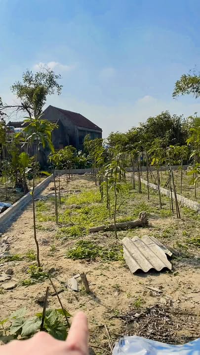 Đất nền Kim Chi Nghi Liên 122.1m² giá 1.4 tỷ - Giảm giá mùa Tết hấp dẫn!