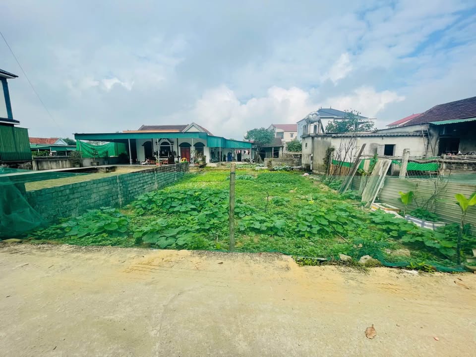 Đất nền Xóm Thái Học, Xã Nghi Thái, 150m² giá 2.3 tỷ - Cơ hội đầu tư tuyệt vời!