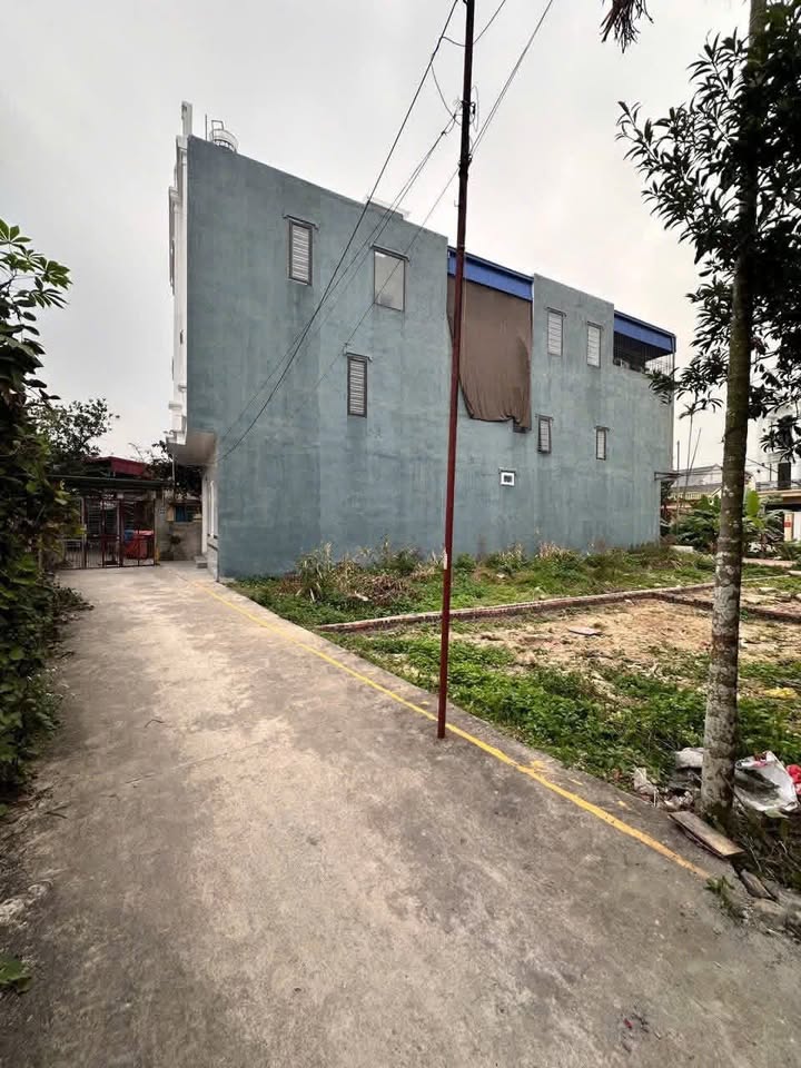 Đất nền Hồng Thái, An Dương 50m² giá 1 tỷ - Đầu tư sinh lời tốt!