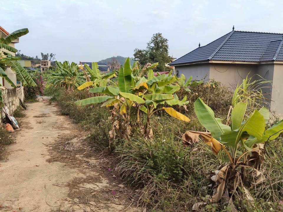 Đất thổ cư Thôn 2, Xã Ninh Sơn, 60m² giá chỉ từ 4xx triệu - Cơ hội đầu tư hấp dẫn!