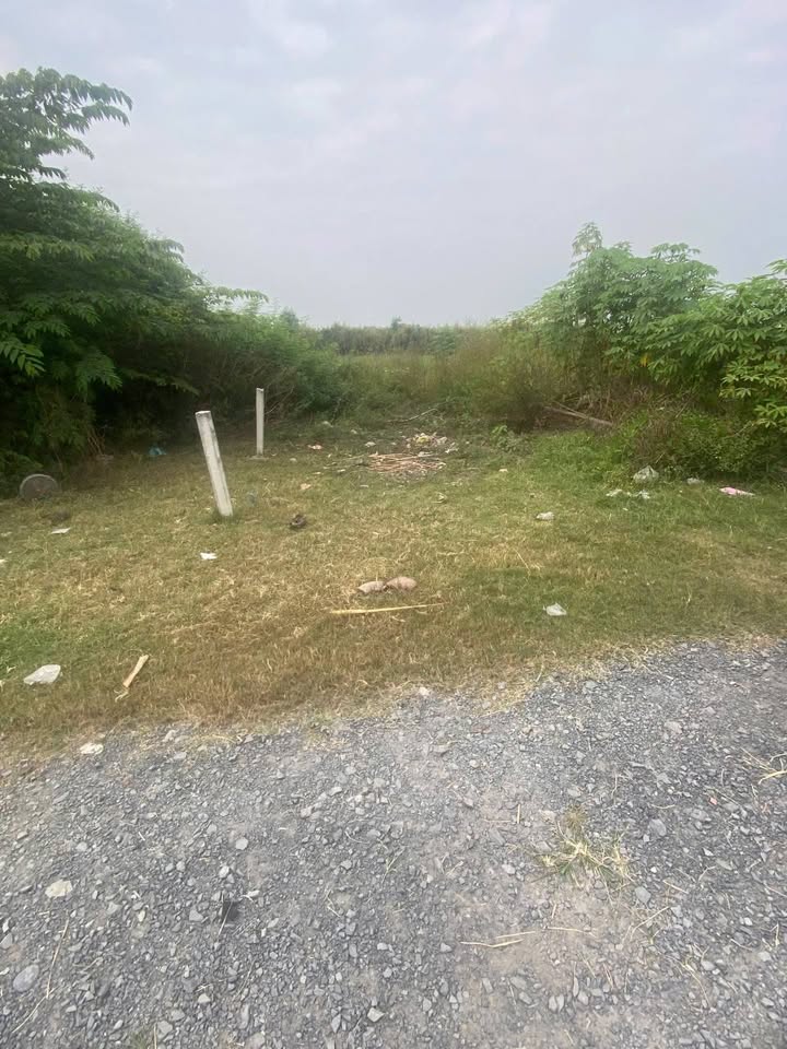 Đất nền 75m² tại ấp Rừng Dầu, Đức Hòa, Long An - Cơ hội đầu tư giá tốt!