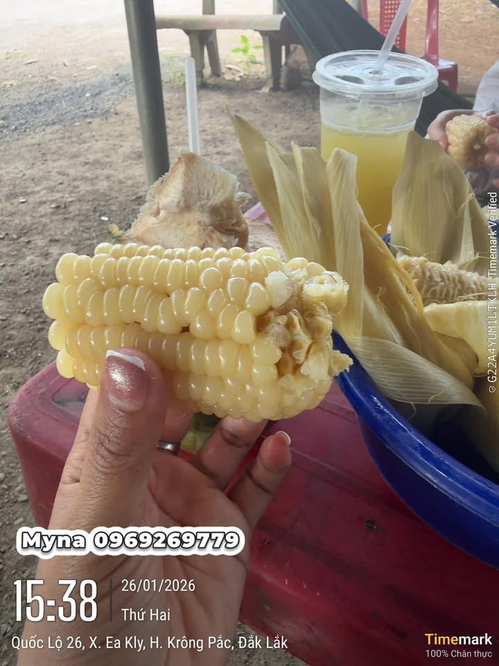 Đất nền 180m² tại xã Ea Kmút, huyện Ea Kar chỉ 2 tỷ - Đầu tư sinh lời ngay!