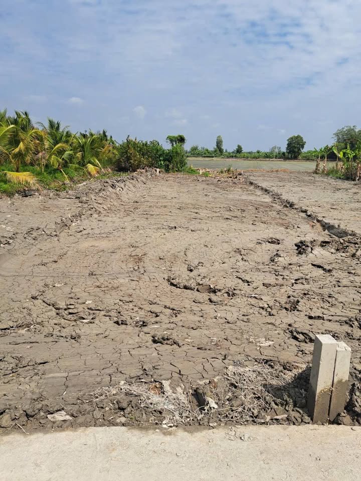 Đất nền nghỉ dưỡng Phương Bình 100m² giá 220 triệu - Đầu tư sinh lời ngay!