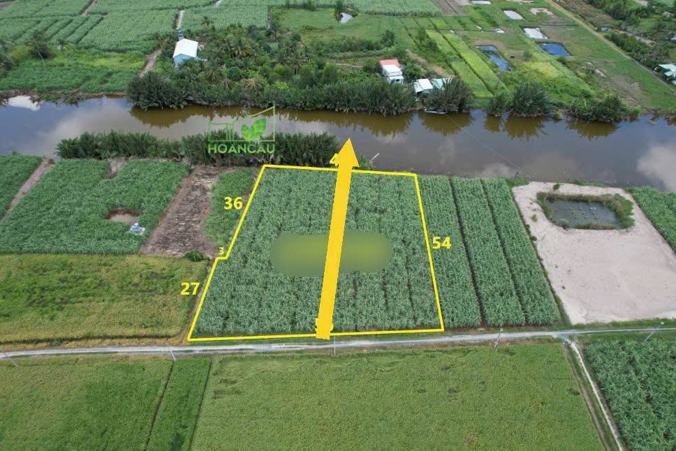 Nhà vườn nghỉ dưỡng 1509m² tại Tân Bình - Mặt sông lớn, giá tốt!