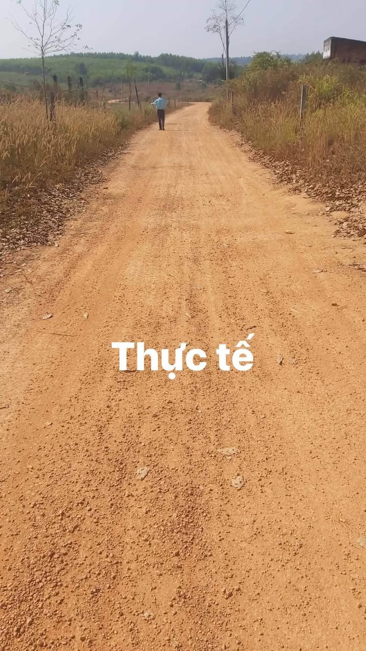 Đất nền Farm Tân An Vĩnh Cửu 12,000m² giá 30 tỷ - Đầu tư sinh lời tiềm năng!