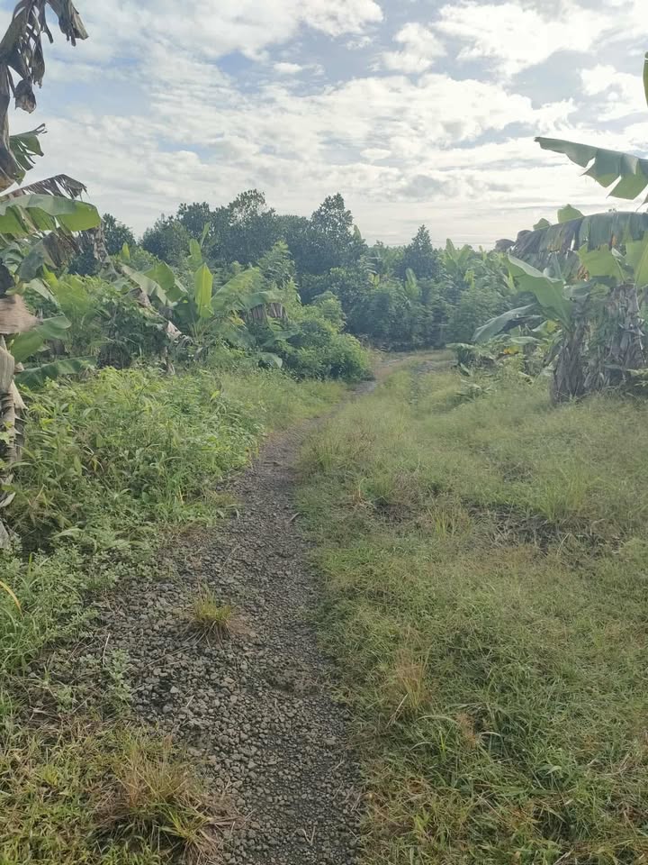 Đất nền Hưng Thịnh Trảng Bom 1000m² giá 499 triệu - Sổ riêng chính chủ