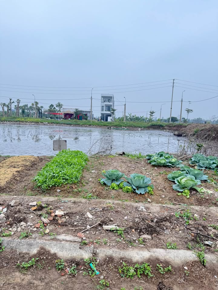 Đất nền Xã Quảng Định 125m² giá 1.2 tỷ - Sổ đỏ chính chủ giao dịch ngay!